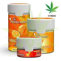 Orange Creamsicle - Delta-9 Gummies