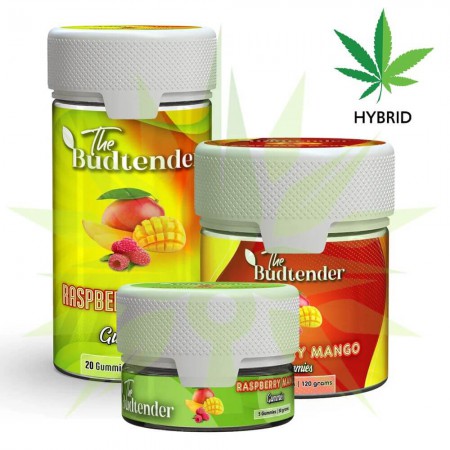 Raspberry Mango - D9 Gummies - HHC and CBD Edibles Raspberry Mango - Delta-9 Gummies - HHC and CBD Edibles