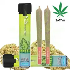 Amnesia THCa Pre-Roll 